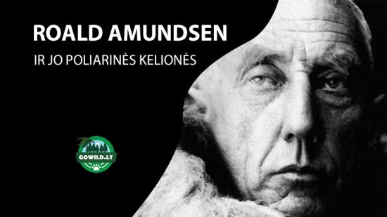 Amundsenas ir jo poliarinės kelionės